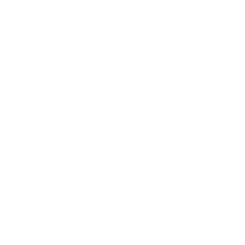 Stopsign Icon